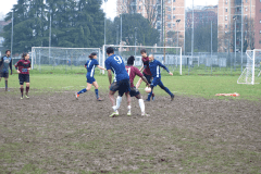 P3229667